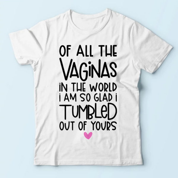 funny gifts for mom, of all the vaginas in the world, t-shirt for mom t-shirt