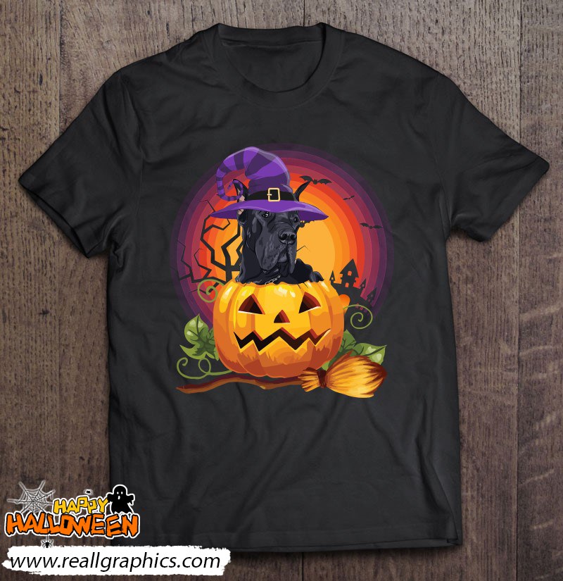 Great Dane Witch Pumpkin Halloween Dog Lover Costume Shirt