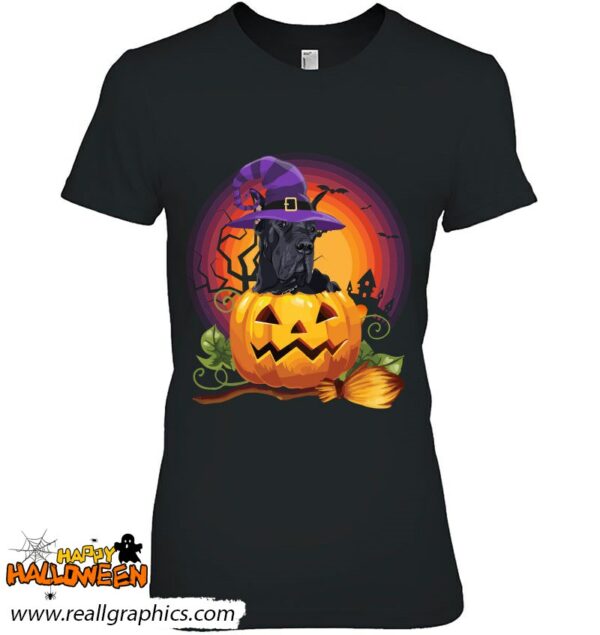 great dane witch pumpkin halloween dog lover costume shirt 721 nkwzi