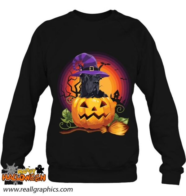 great dane witch pumpkin halloween dog lover costume shirt 723 d30q5