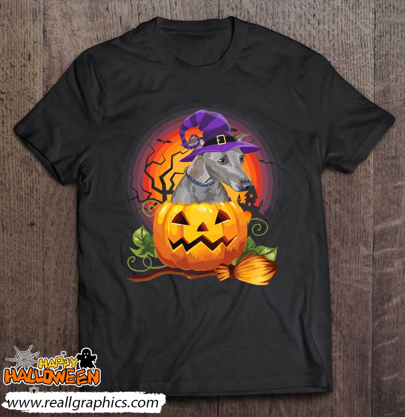 Italian Greyhound Witch Pumpkin Halloween Dog Lover Costume Shirt