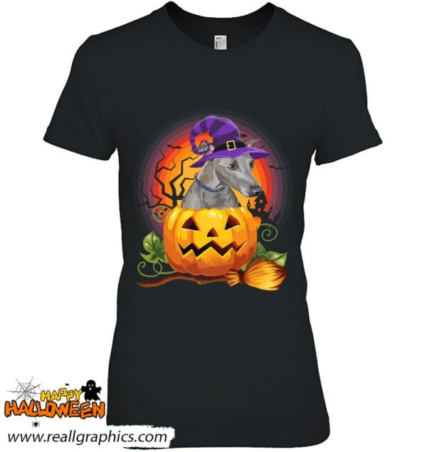 italian greyhound witch pumpkin halloween dog lover costume shirt 733 sh6tg