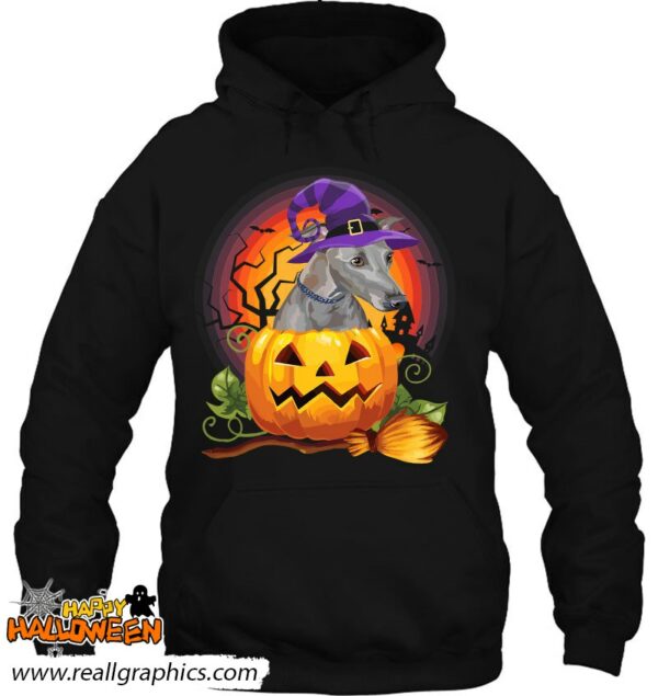 italian greyhound witch pumpkin halloween dog lover costume shirt 734 n8bvh