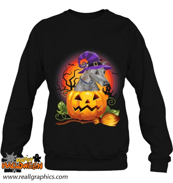 italian greyhound witch pumpkin halloween dog lover costume shirt 735 nrmnr