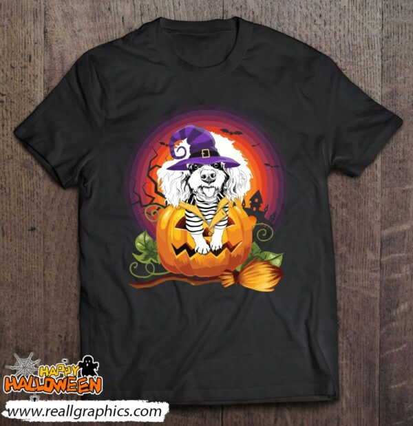 poodle witch pumpkin halloween dog lover costume shirt 752 g56uz