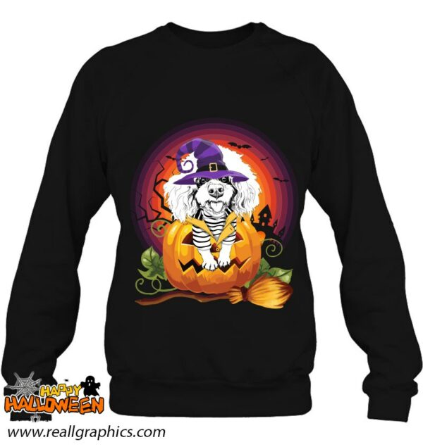 poodle witch pumpkin halloween dog lover costume shirt 755 q2aer
