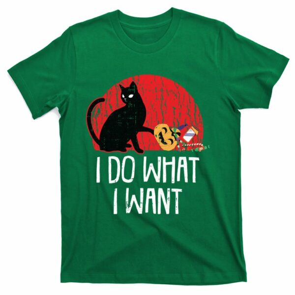 i do what i want black cat pumpkin gift t shirt 3 uirfan