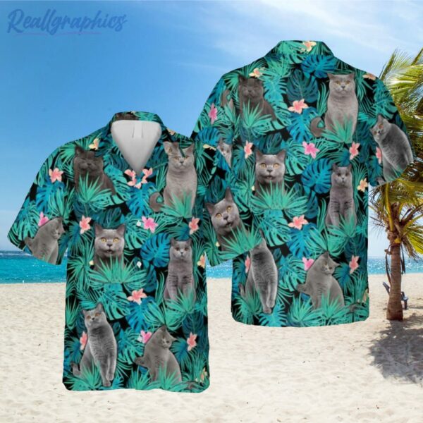 funny british shorthaired cats hawaiian shirt cat clothing 1 ahdj1k