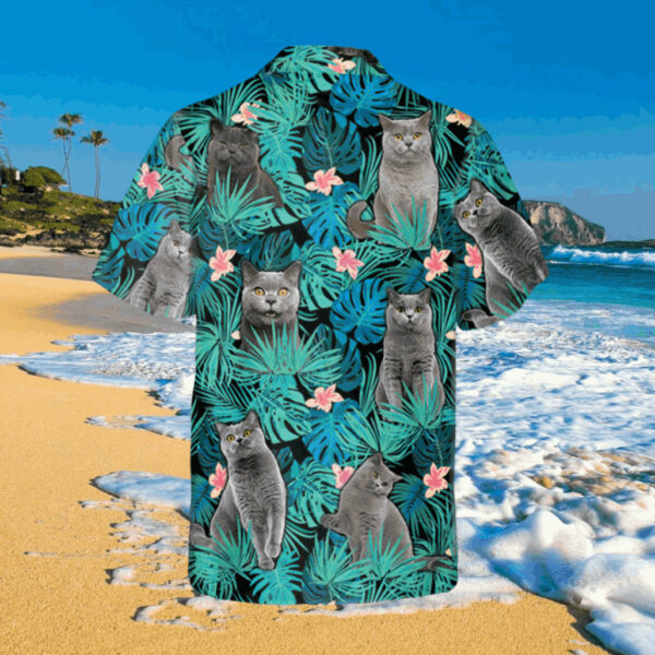 funny british shorthaired cats hawaiian shirt cat clothing 3 aybkiw