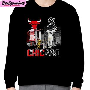 chicago sports teams michael jordan and frank thomas unisex t-shirt, hoodie, sweatshirt
